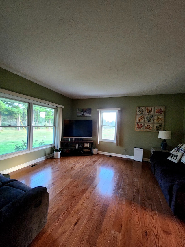 living room featuring hardwood / wood-style flooring