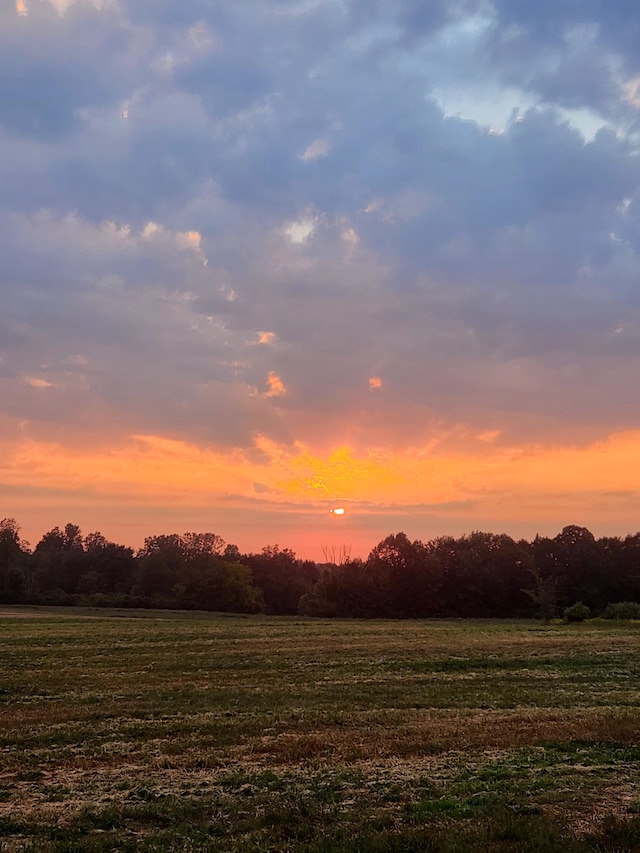 view of nature at dusk