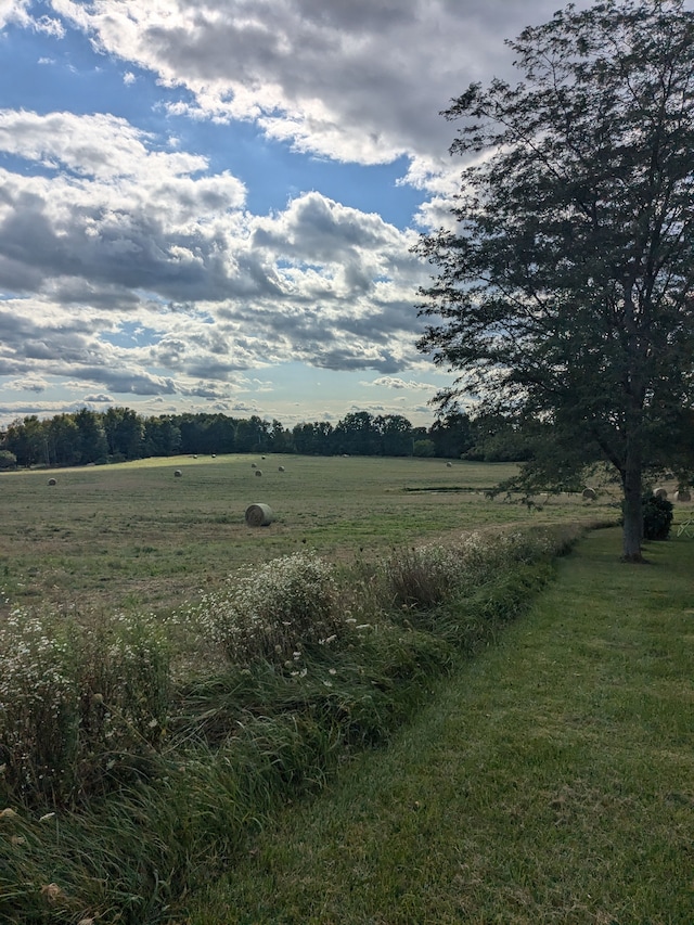 view of local wilderness featuring a rural view