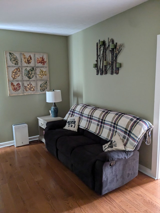 living room featuring hardwood / wood-style floors