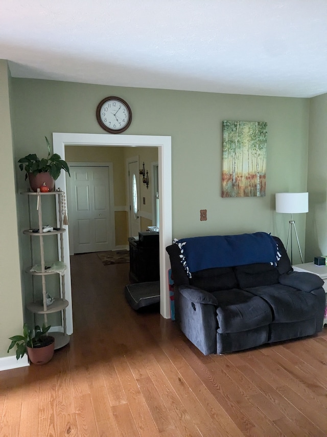 living room featuring wood-type flooring