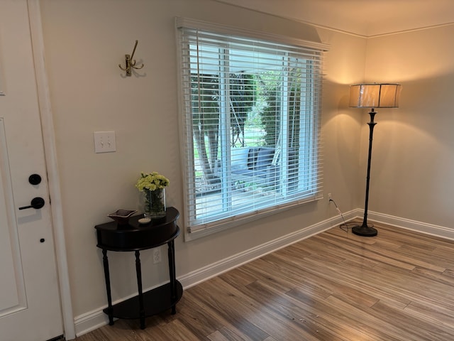 interior space featuring hardwood / wood-style floors