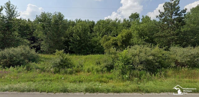 10300 Canandaigua Rd, Clayton MI, 49235 land for sale