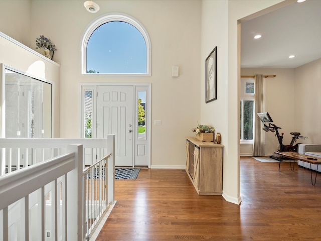 entryway with a towering ceiling and wood-type flooring