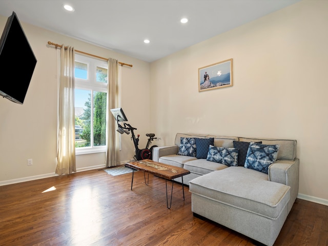 living room featuring hardwood / wood-style floors