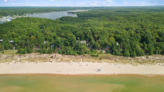 876 S Beach, Pentwater, MI 49449 - aerial view of a forest and a large body of water