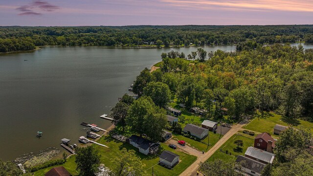 76 Sundago Park St, Hastings, MI 49058 - aerial view of property's location featuring a forest and a large body of water