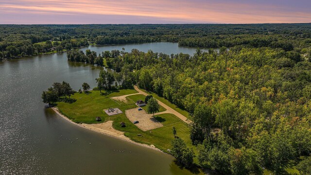 76 Sundago Park St, Hastings, MI 49058 - aerial view at dusk of a view of trees and a water view