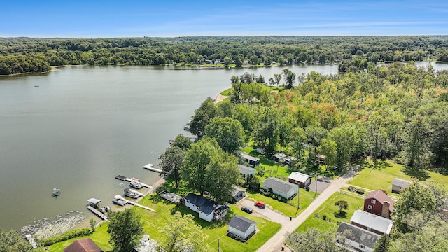 76 Sundago Park St, Hastings, MI 49058 - bird's eye view of a forest and a large body of water