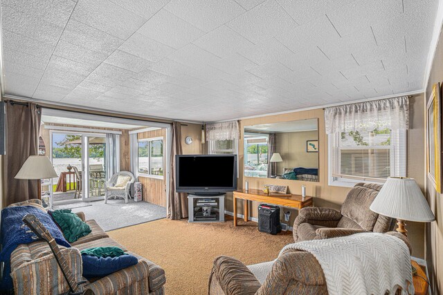 76 Sundago Park St, Hastings, MI 49058 - living area featuring carpet floors