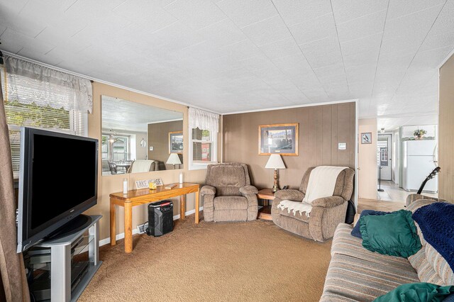 76 Sundago Park St, Hastings, MI 49058 - living room with crown molding and light carpet