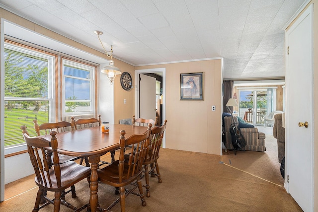 76 Sundago Park St, Hastings, MI 49058 - dining area featuring light carpet and crown molding