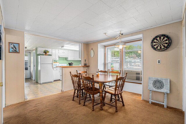 76 Sundago Park St, Hastings, MI 49058 - dining space with light carpet, wooden walls, and ornamental molding