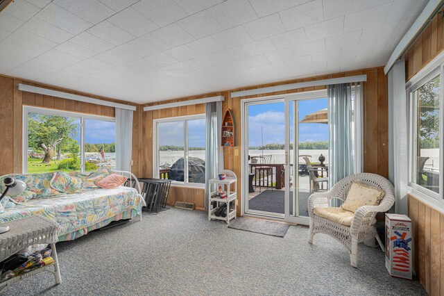 76 Sundago Park St, Hastings, MI 49058 - sunroom with wood walls, carpet flooring, and a water view