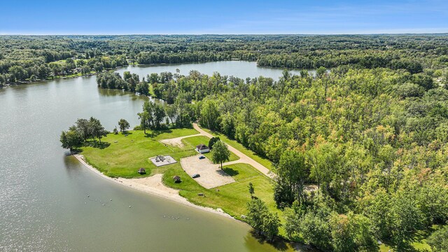 76 Sundago Park St, Hastings, MI 49058 - aerial view of a heavily wooded area and a nearby body of water