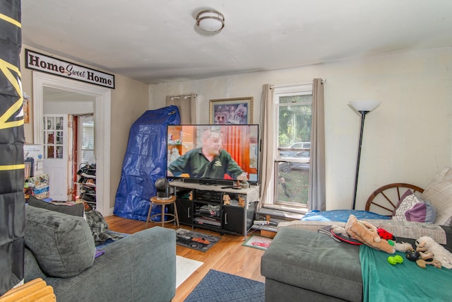 living room with hardwood / wood-style floors