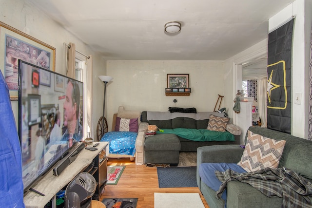 living room featuring wood-type flooring and a wealth of natural light