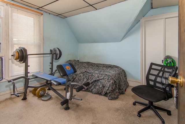 bedroom featuring carpet floors, a drop ceiling, and lofted ceiling