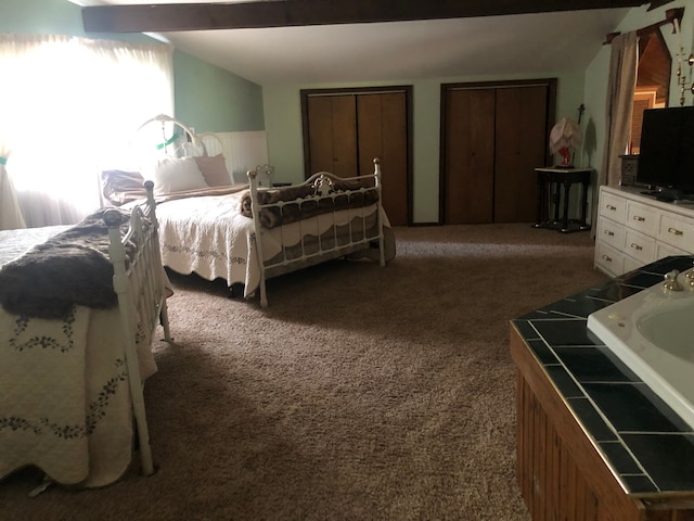 carpeted bedroom featuring multiple closets