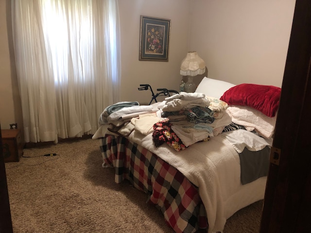 bedroom with carpet floors