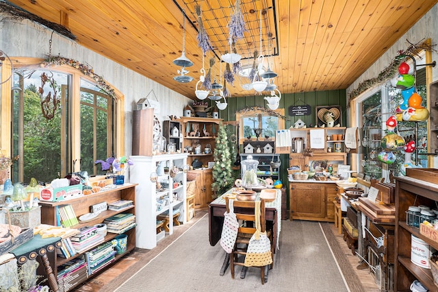 miscellaneous room featuring hardwood / wood-style floors and wood ceiling