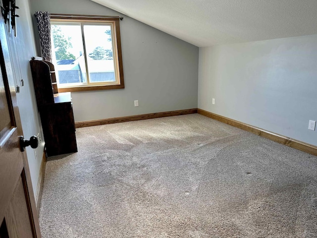 additional living space featuring a textured ceiling, carpet, and lofted ceiling