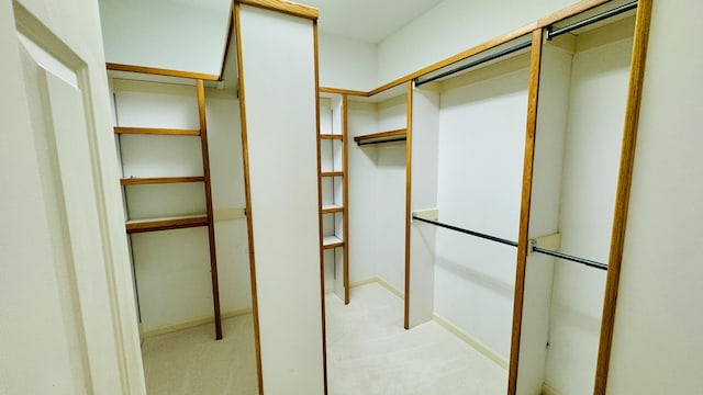 spacious closet featuring light carpet