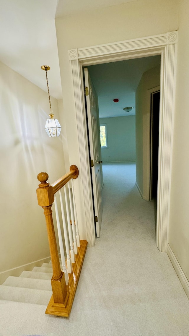 corridor featuring light colored carpet