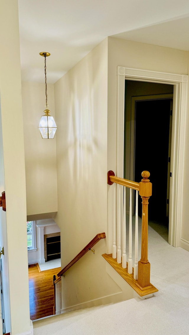 staircase with carpet flooring