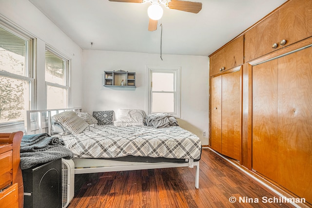 bedroom with ceiling fan, a closet, and dark hardwood / wood-style floors