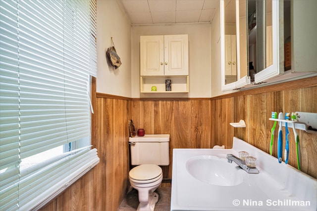 bathroom featuring toilet, wooden walls, and sink