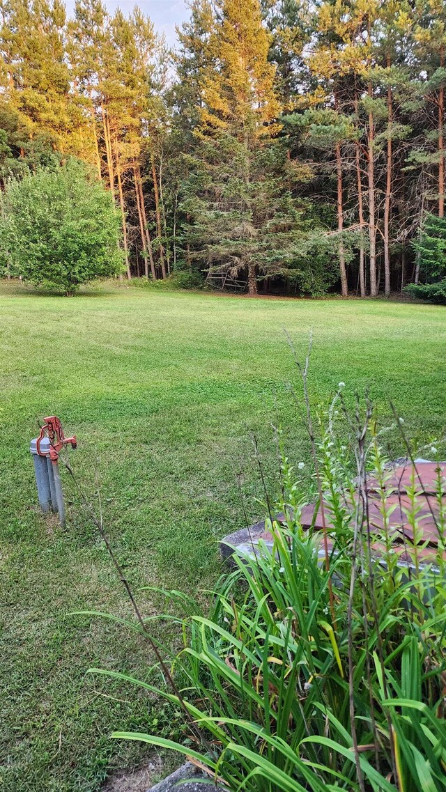 6368 County Road 441, Newberry, MI 49868 - photo 50