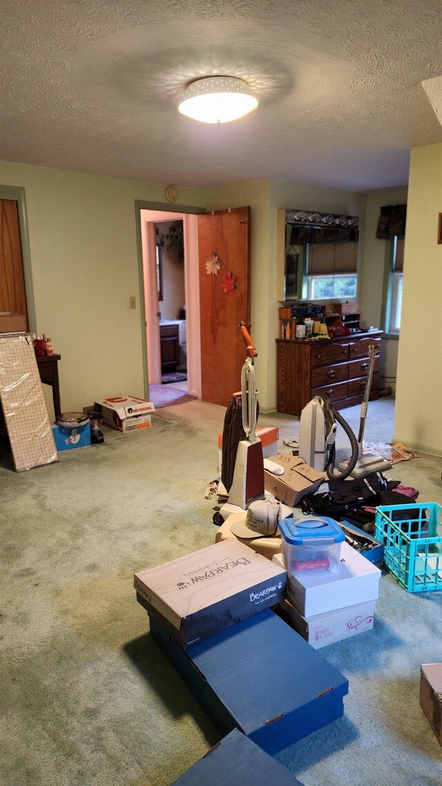 6368 County Road 441, Newberry, MI 49868 - photo 23