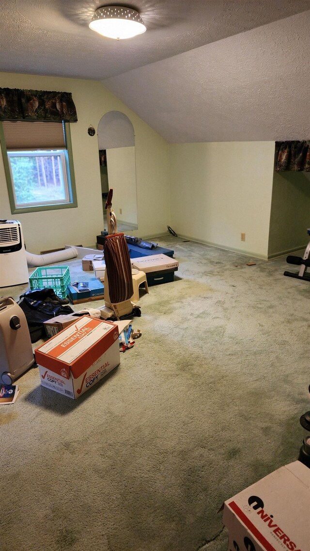 6368 County Road 441, Newberry, MI 49868 - photo 24