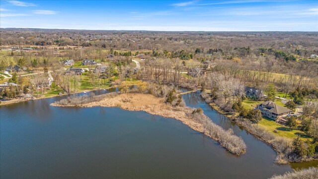 10468 Oak Shore Dr, South Lyon, MI 48178