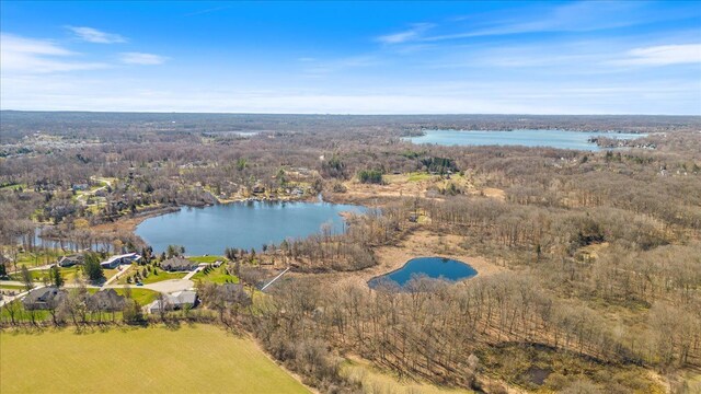 10468 Oak Shore Dr, South Lyon, MI 48178