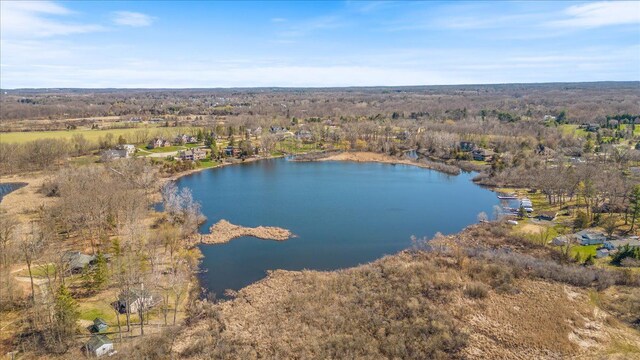 10468 Oak Shore Dr, South Lyon, MI 48178