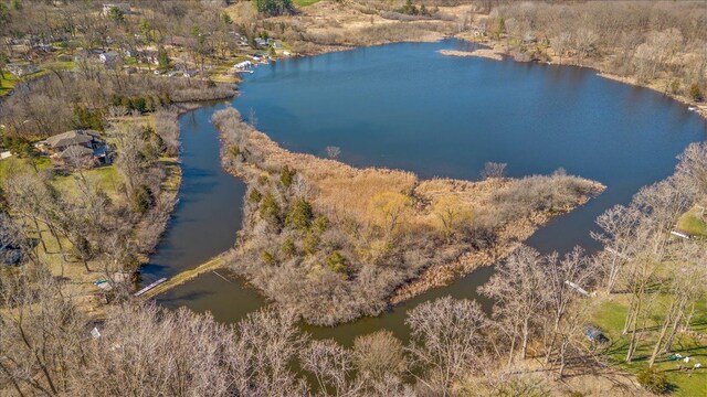 10468 Oak Shore Dr, South Lyon, MI 48178