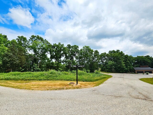 10537 Oak Forest Dr, South Lyon, MI 48178 - photo 3