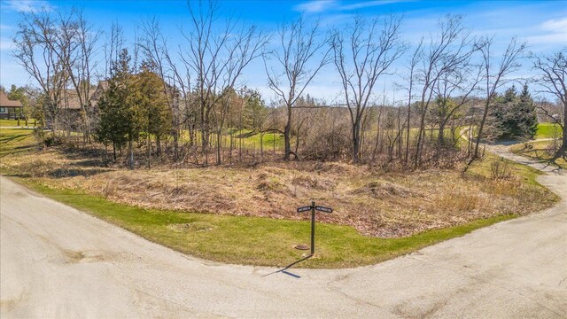 10537 Oak Forest Dr, South Lyon, MI 48178 - photo 18