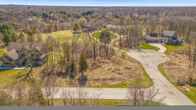 10537 Oak Forest Dr, South Lyon, MI 48178 - photo 13