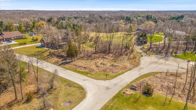 10537 Oak Forest Dr, South Lyon, MI 48178 - photo 12