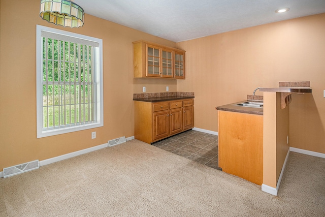 kitchen with sink and dark colored carpet