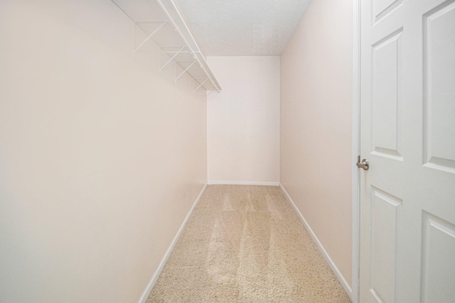 spacious closet with carpet flooring