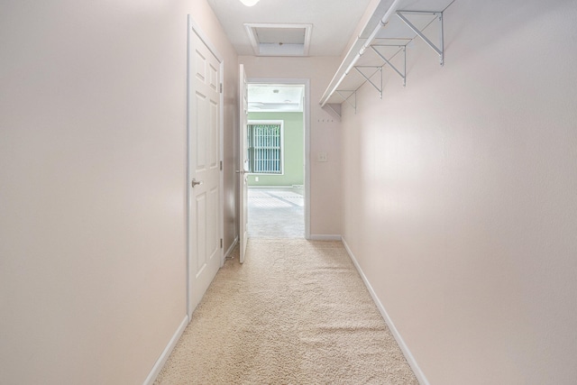 corridor with light colored carpet