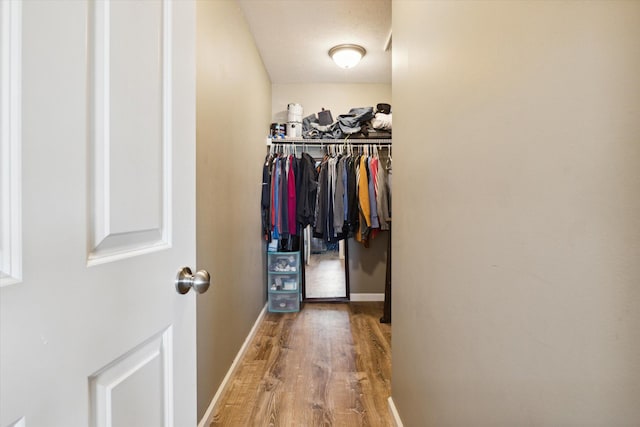 spacious closet featuring hardwood / wood-style floors