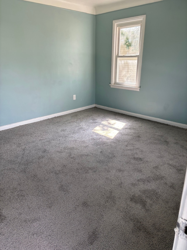 empty room featuring carpet flooring