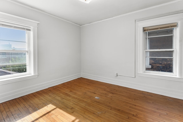 spare room with wood-type flooring and ornamental molding