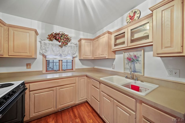 kitchen with sink, white electric range oven, dark hardwood / wood-style floors, and light brown cabinets