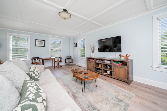 living room featuring light hardwood / wood-style flooring, plenty of natural light, and coffered ceiling